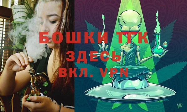 гашик Новодвинск