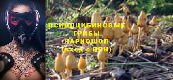 дмт Няндома