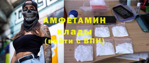 гашик Новодвинск